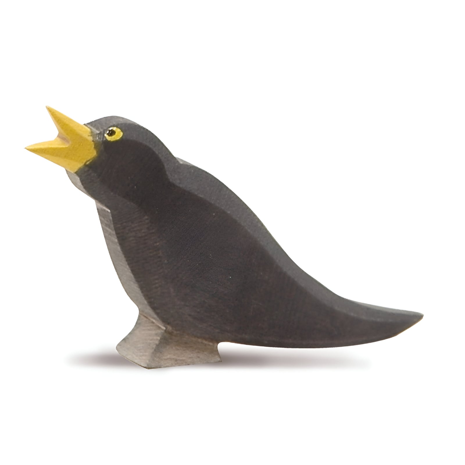 Blackbird 16801