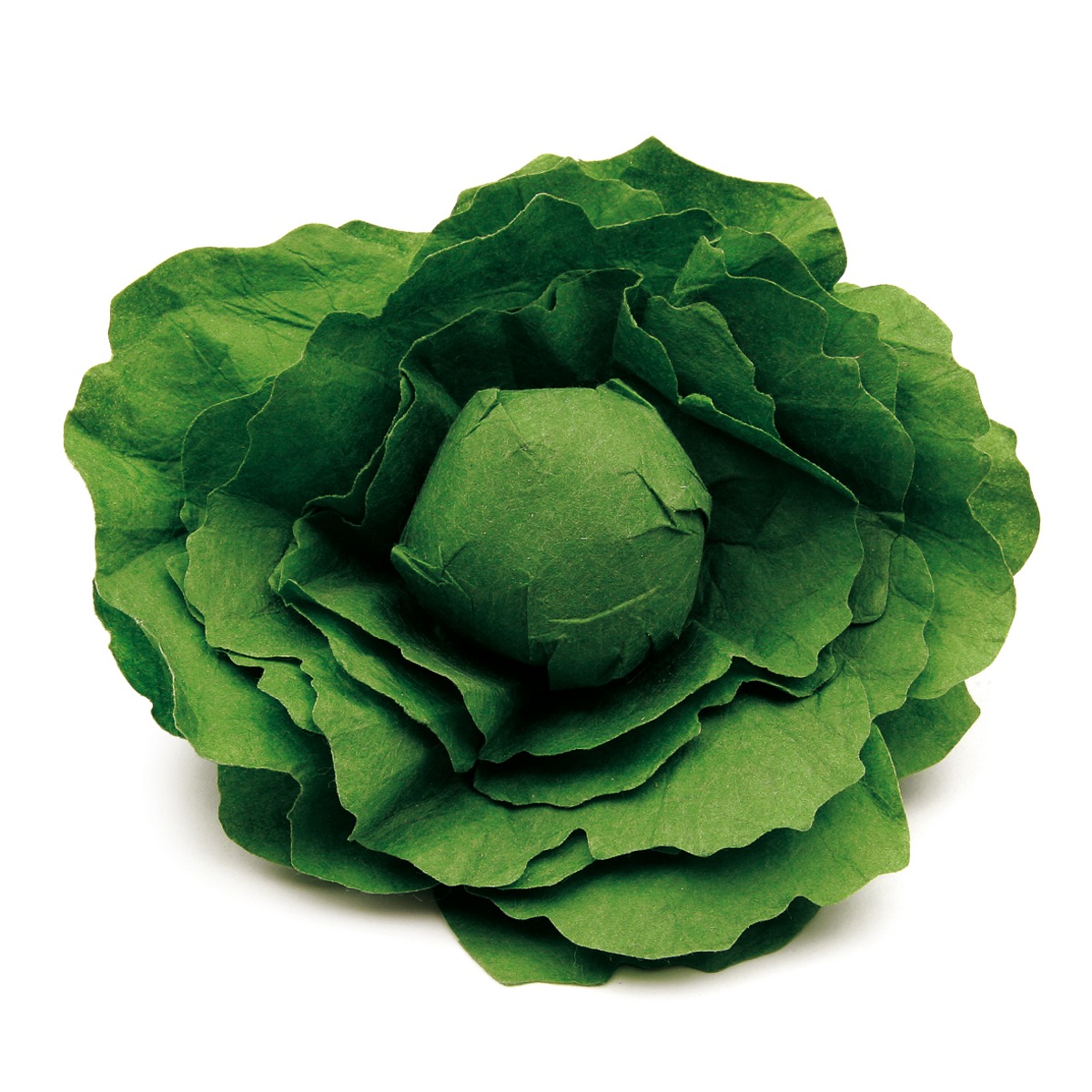 Kaufladen Gemüse Salatkopf