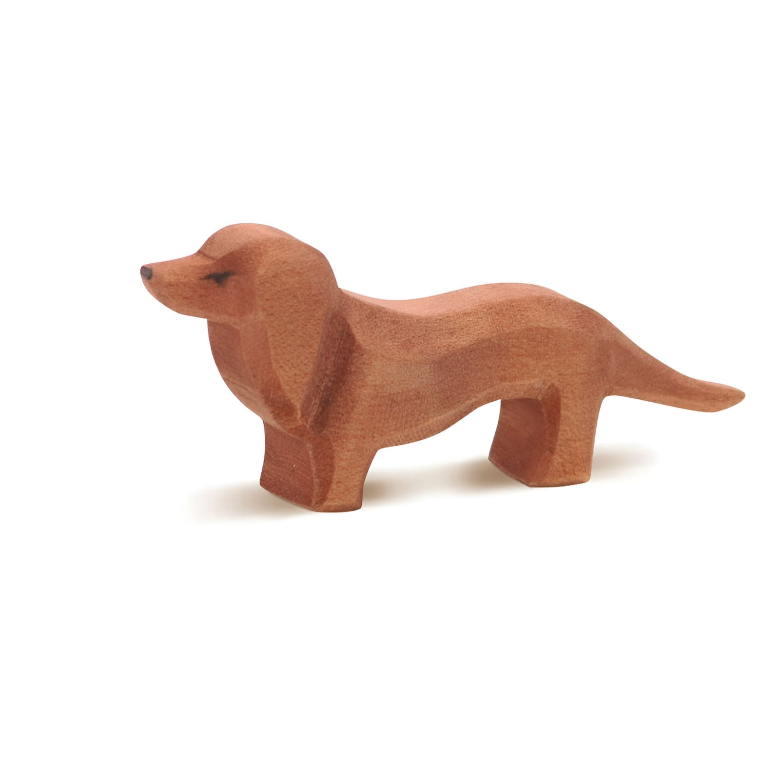 Dachshund 10611