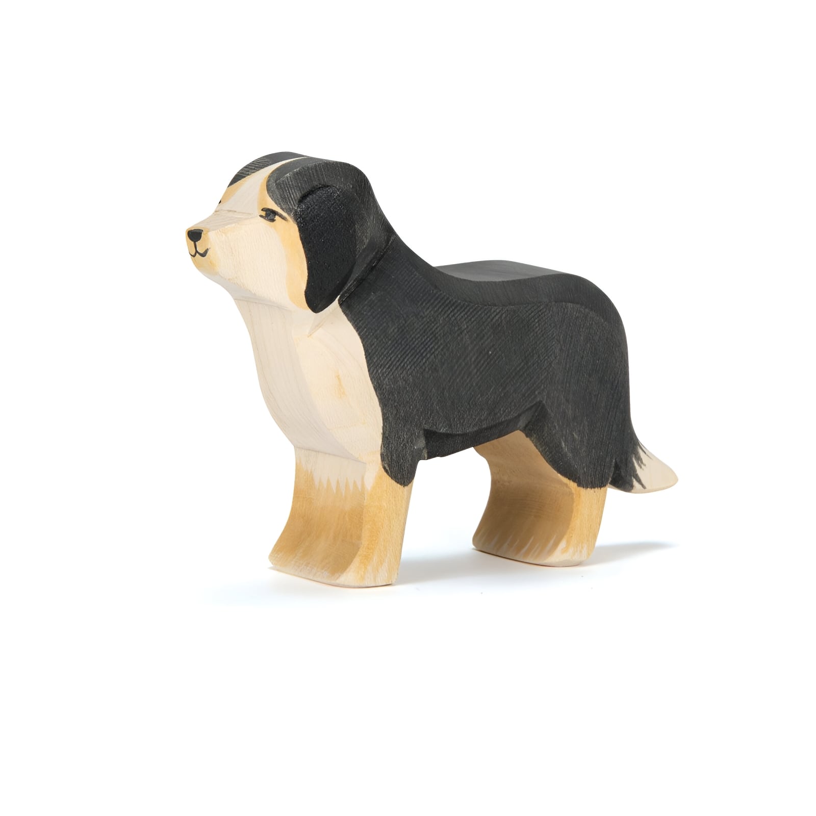 Bernese Mountain Dog 10521