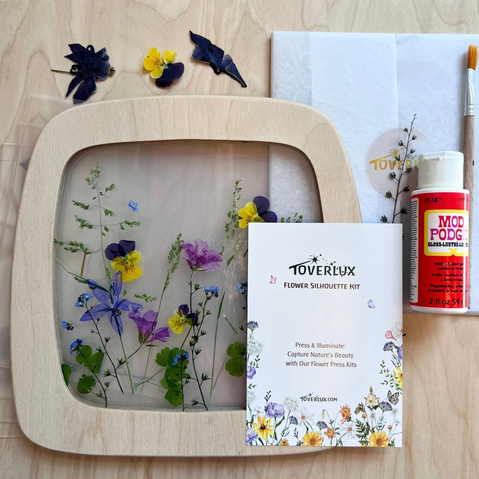 Kopie von Toverlux Blumen-Silhouetten-Set #1