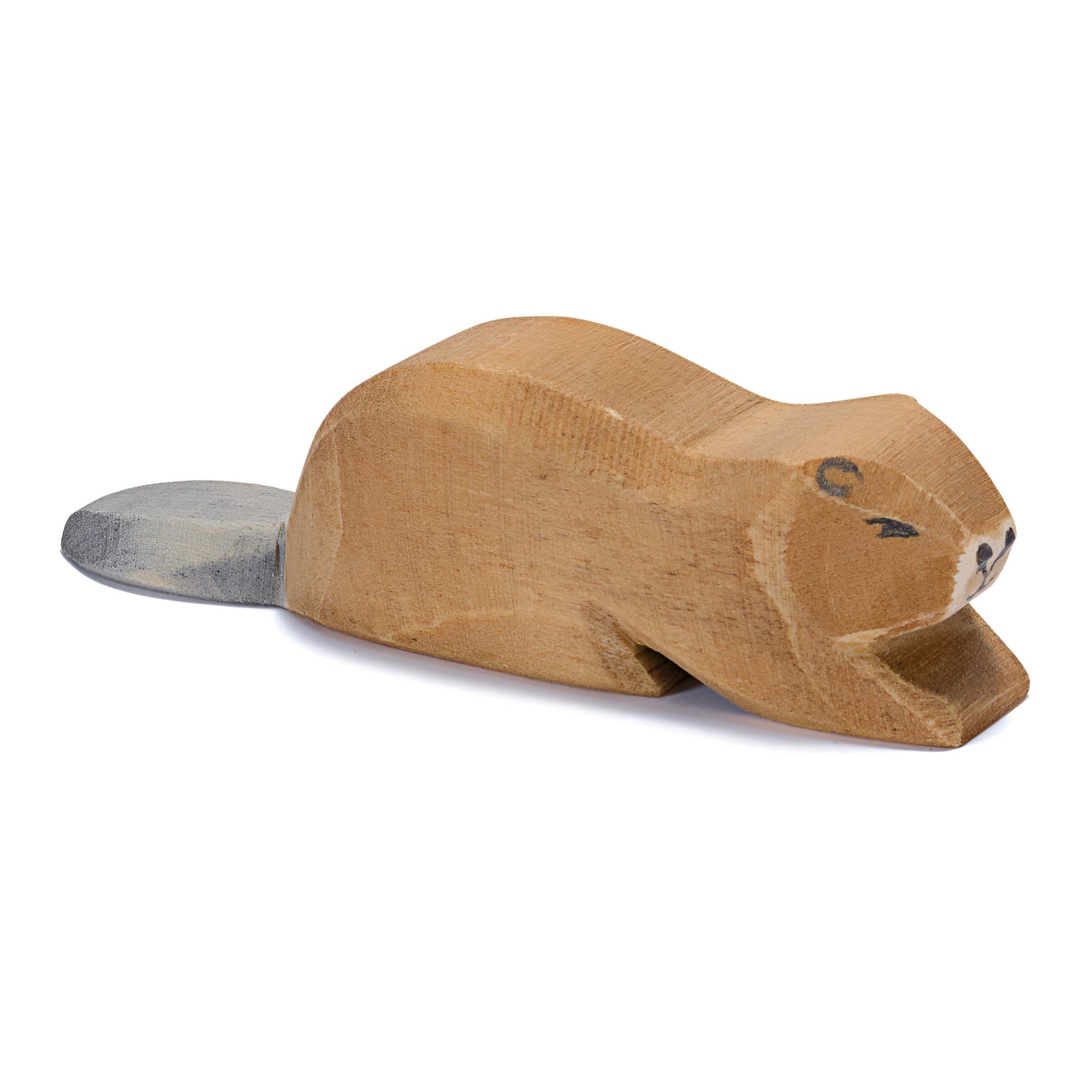 Beaver lying 16267