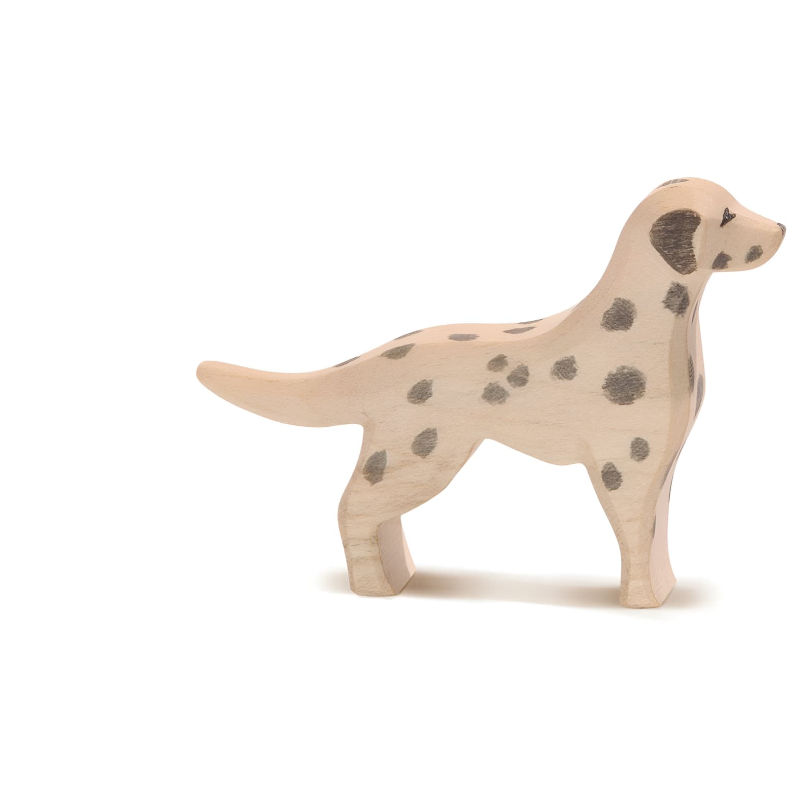 Dalmatian 10511