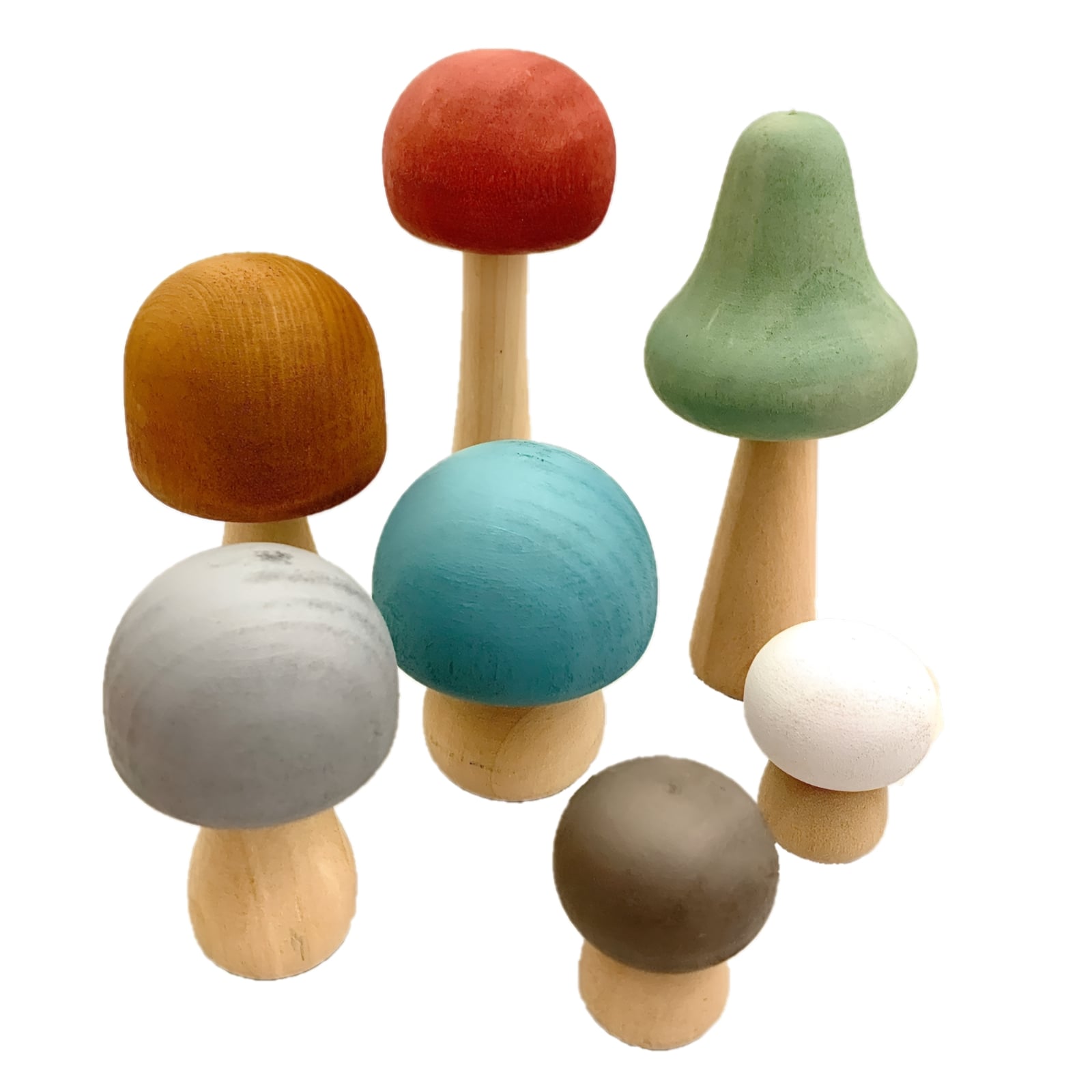 Pilze Earth-Edition, 7-teilig