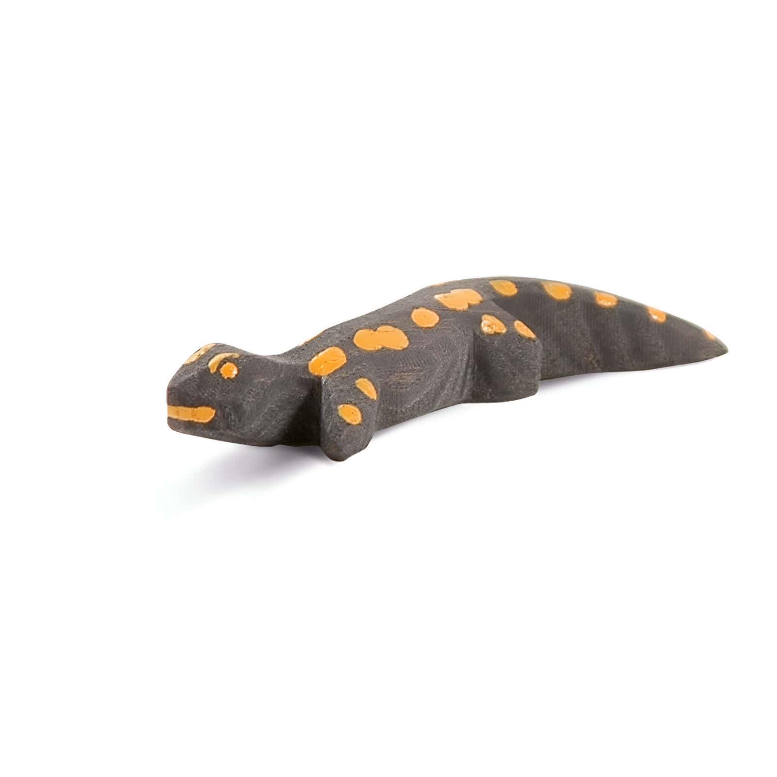 Salamander 1655
