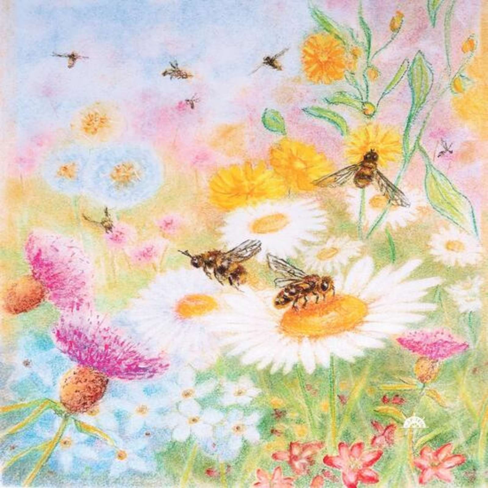 Motiv für Toverlux Lampe - Kapitein Kalk - Bienenweide