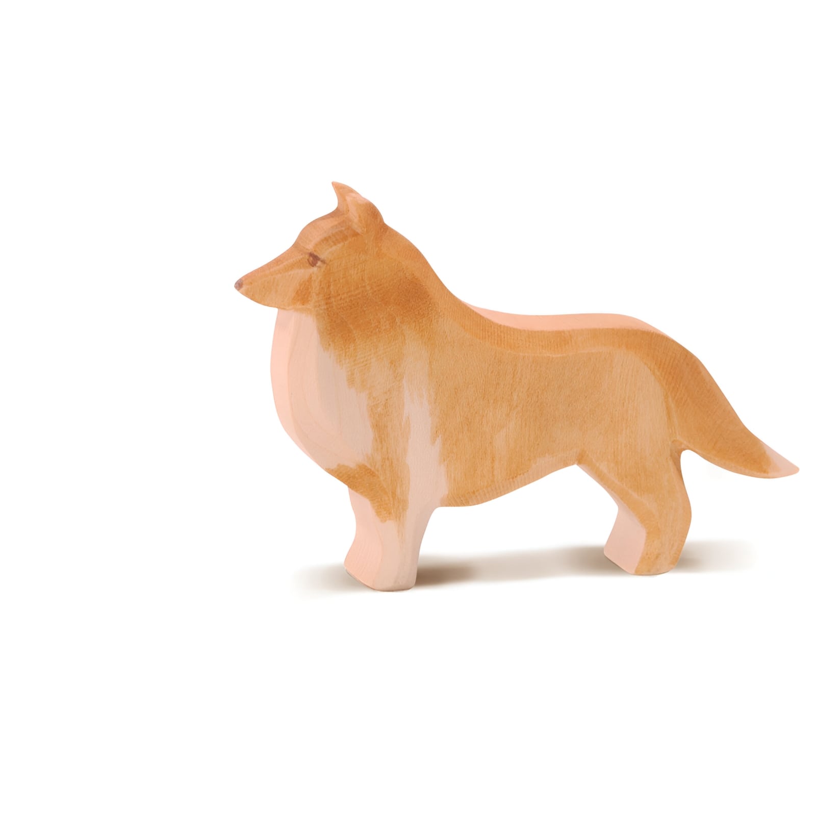 Collie 10516