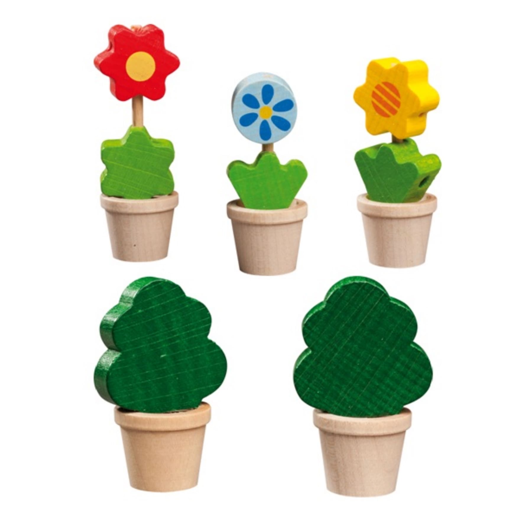 3 Blumen & 2 Grünpflanzen
