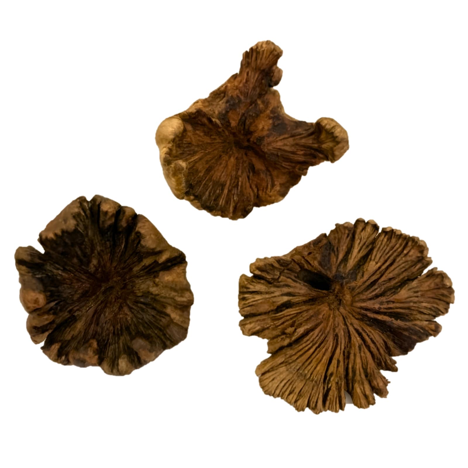 Holzrose Klein, 3-teilig