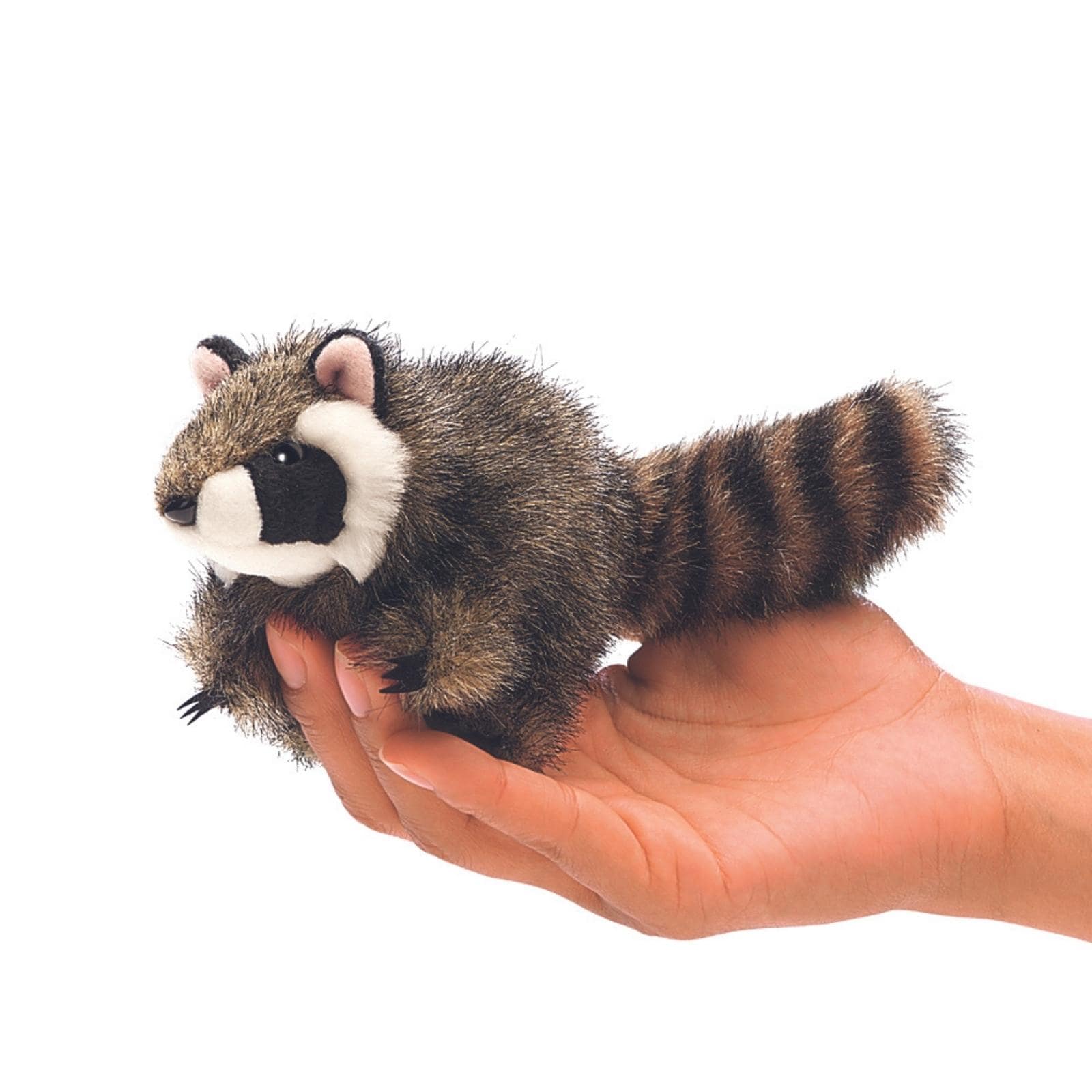 Folkmanis Mini  Waschbär