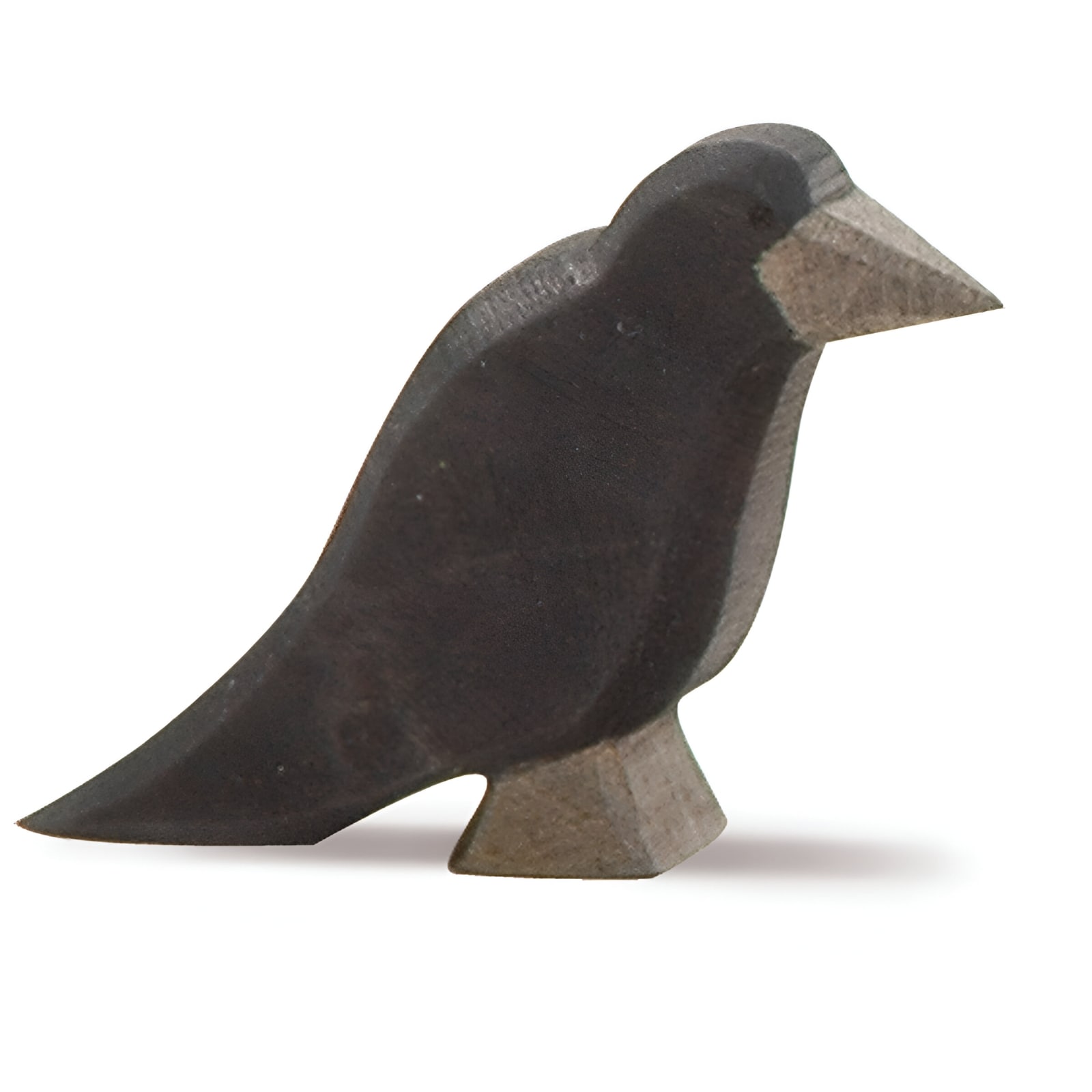 Raven 16806